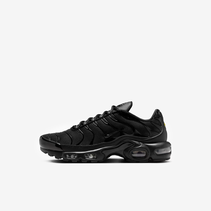 Nike Air Max Plus "Triple Black"
